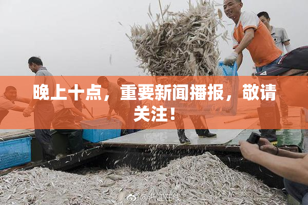 晚上十点，重要新闻播报，敬请关注！