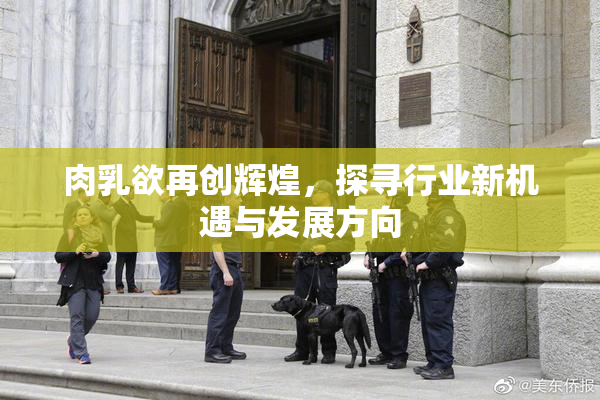 肉乳欲再创辉煌，探寻行业新机遇与发展方向