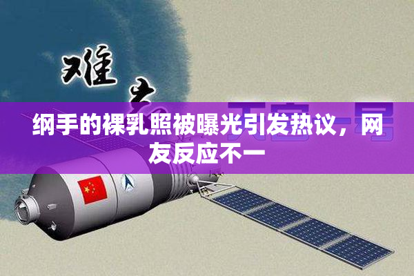 纲手的裸乳照被曝光引发热议，网友反应不一