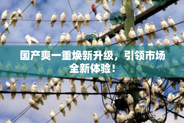 国产爽一重焕新升级，引领市场全新体验！