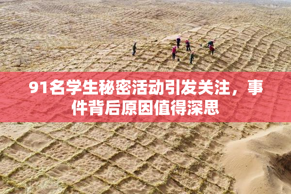 91名学生秘密活动引发关注，事件背后原因值得深思