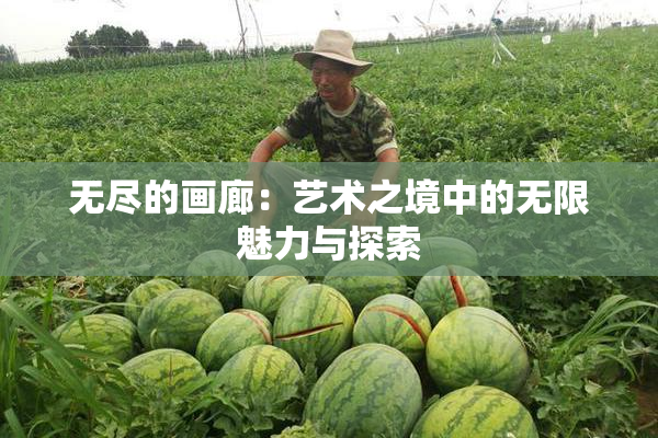 无尽的画廊：艺术之境中的无限魅力与探索