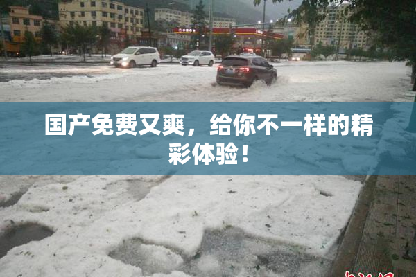 国产免费又爽，给你不一样的精彩体验！