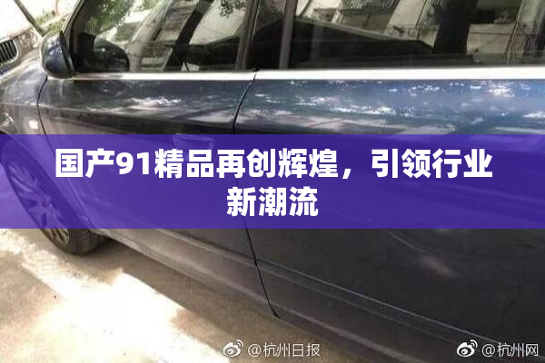 国产91精品再创辉煌，引领行业新潮流