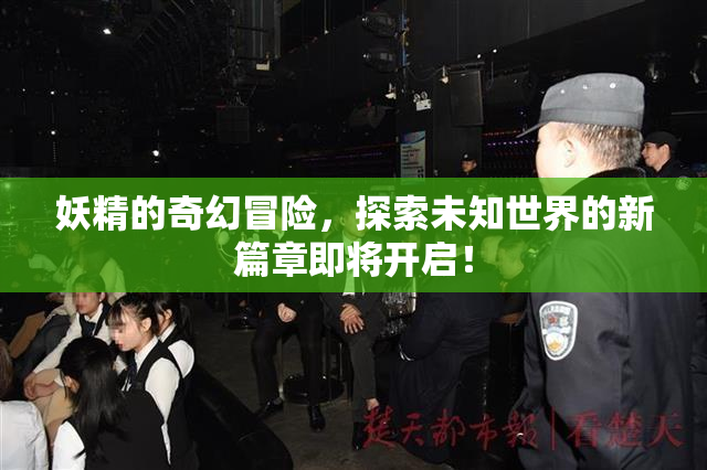 妖精的奇幻冒险，探索未知世界的新篇章即将开启！