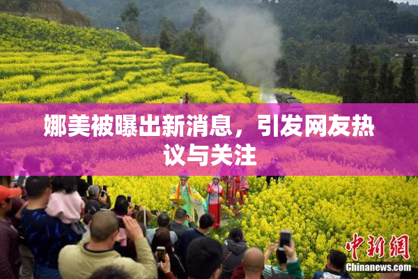 娜美被曝出新消息，引发网友热议与关注