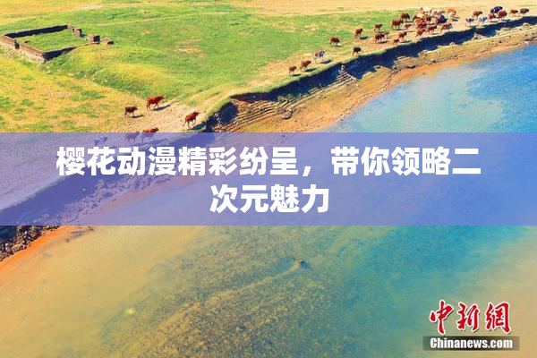 樱花动漫精彩纷呈，带你领略二次元魅力