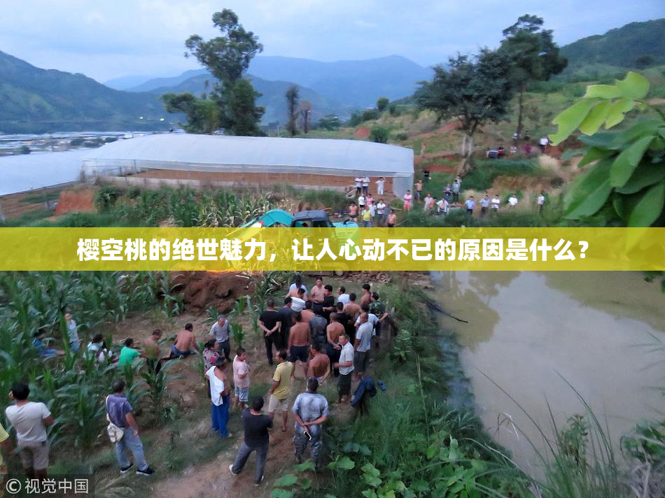 樱空桃的绝世魅力，让人心动不已的原因是什么？