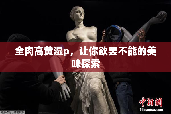 全肉高黄湿p，让你欲罢不能的美味探索