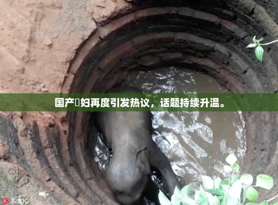国产婬妇再度引发热议，话题持续升温。
