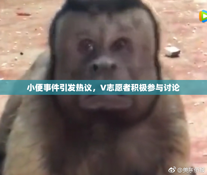 小便事件引发热议，V志愿者积极参与讨论