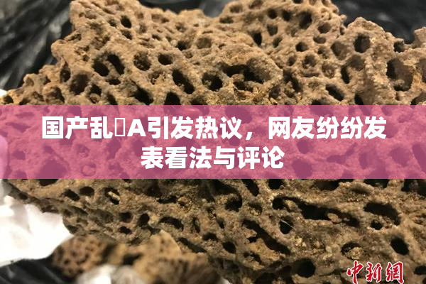 国产乱婬A引发热议，网友纷纷发表看法与评论