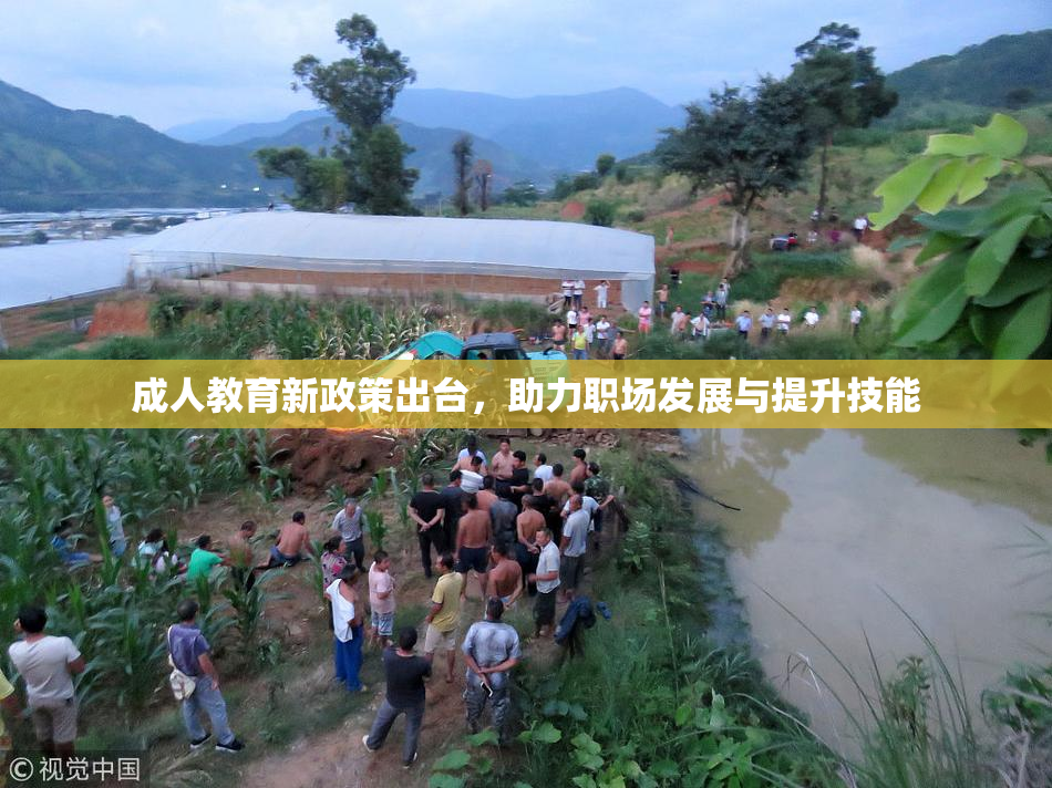 成人教育新政策出台，助力职场发展与提升技能
