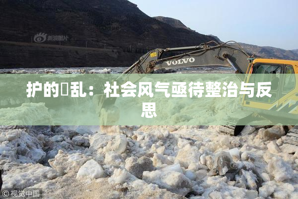 护的婬乱：社会风气亟待整治与反思