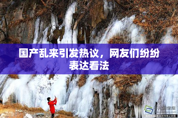国产乱来引发热议，网友们纷纷表达看法