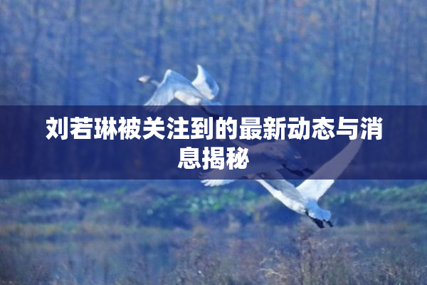 刘若琳被关注到的最新动态与消息揭秘