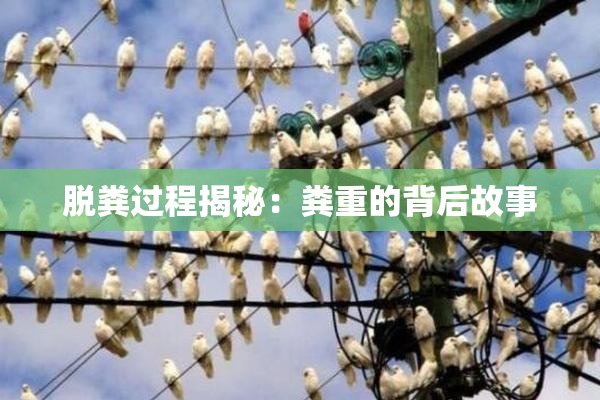 脱粪过程揭秘：粪重的背后故事