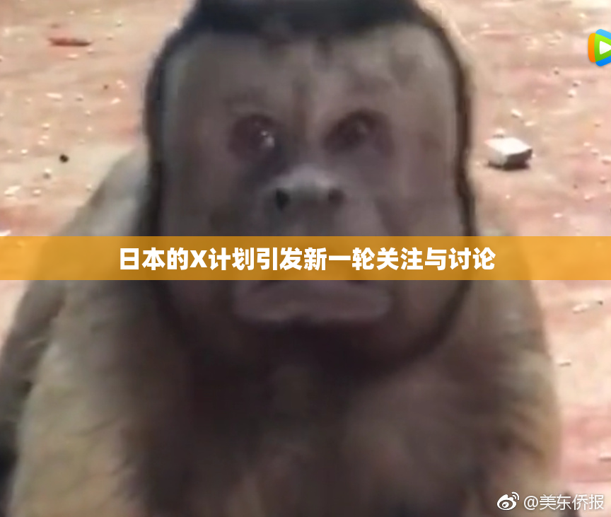 日本的X计划引发新一轮关注与讨论