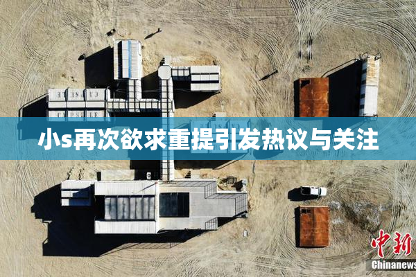 小s再次欲求重提引发热议与关注