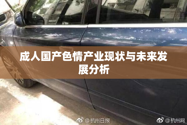 成人国产色情产业现状与未来发展分析