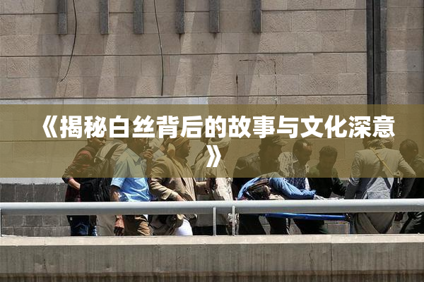 《揭秘白丝背后的故事与文化深意》