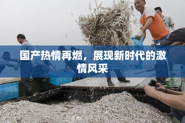 国产热情再燃，展现新时代的激情风采