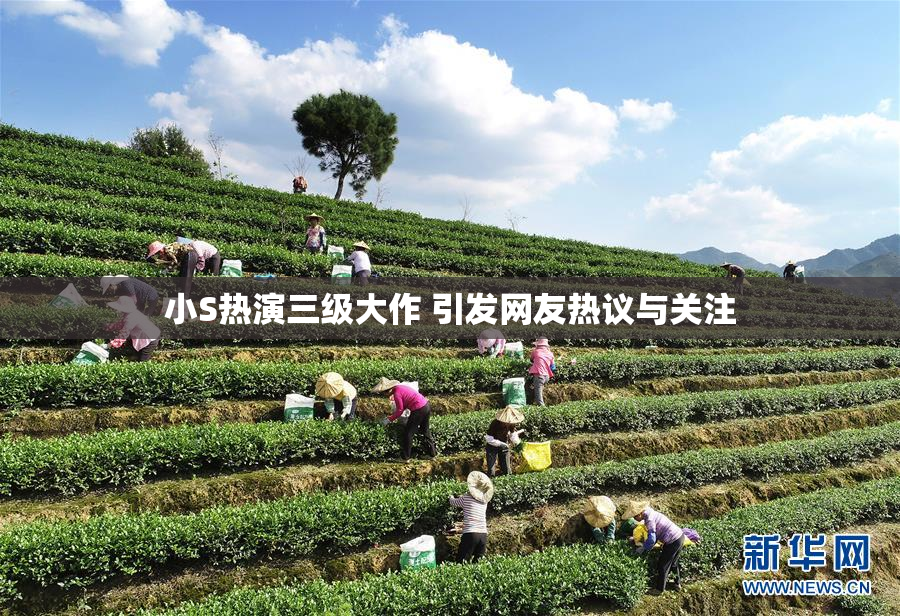 小S热演三级大作 引发网友热议与关注