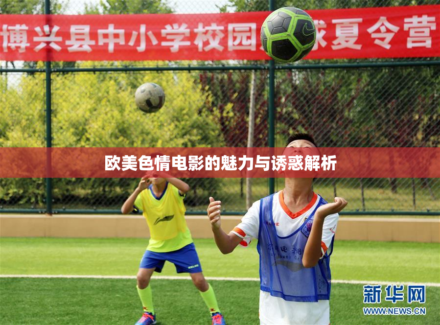欧美色情电影的魅力与诱惑解析