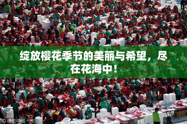 绽放樱花季节的美丽与希望，尽在花海中！