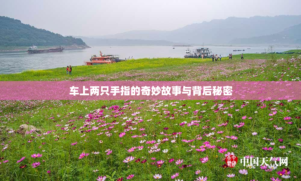 车上两只手指的奇妙故事与背后秘密