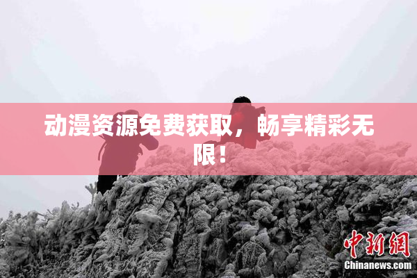 动漫资源免费获取，畅享精彩无限！