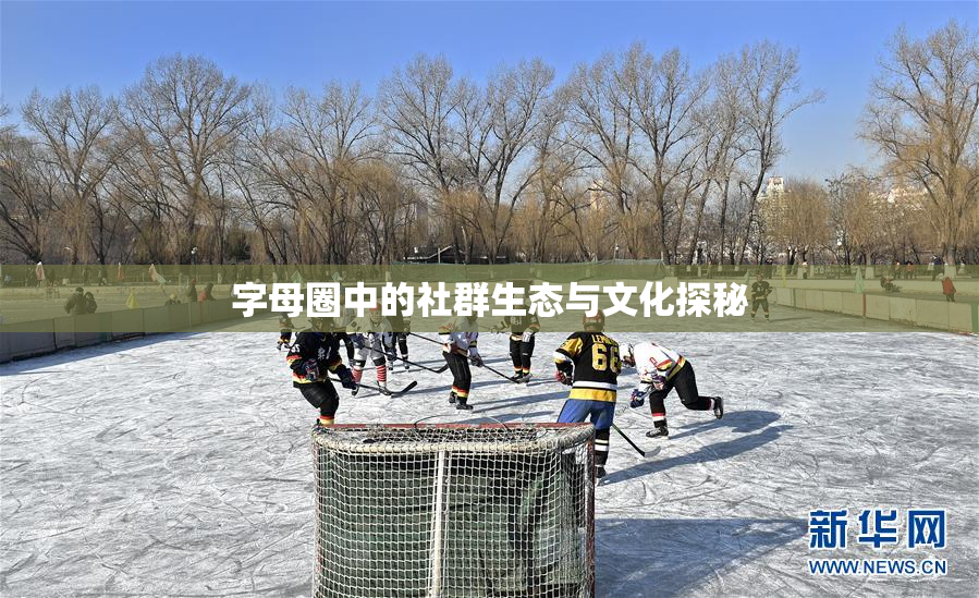 字母圈中的社群生态与文化探秘