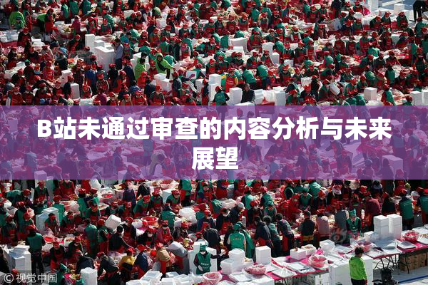 B站未通过审查的内容分析与未来展望