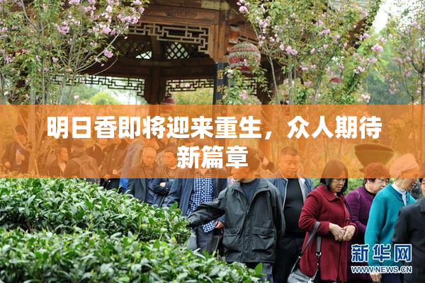 明日香即将迎来重生，众人期待新篇章