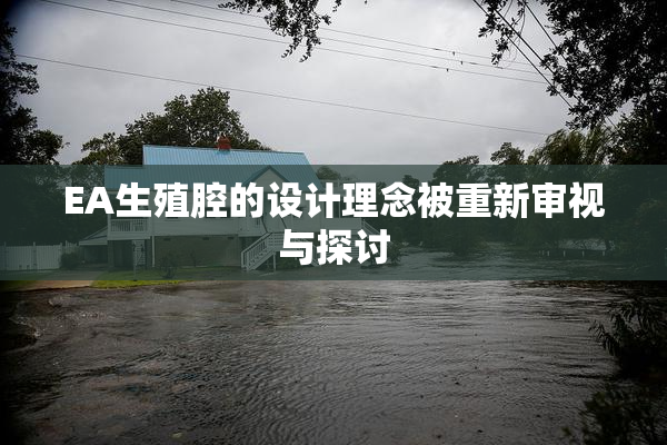 EA生殖腔的设计理念被重新审视与探讨