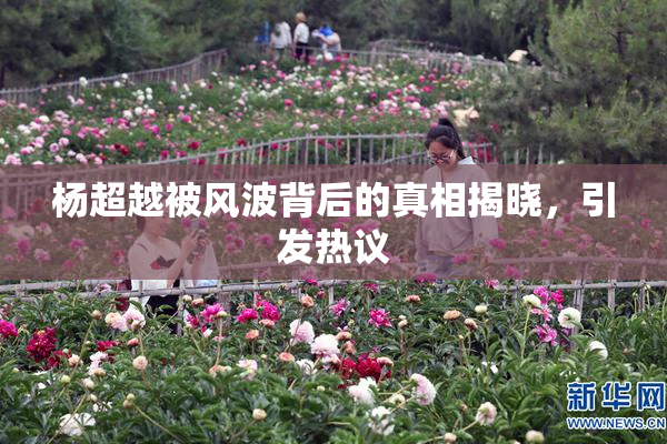 杨超越被风波背后的真相揭晓，引发热议