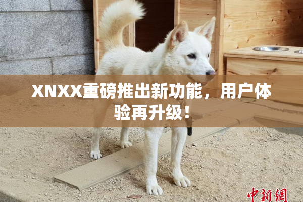 XNXX重磅推出新功能，用户体验再升级！