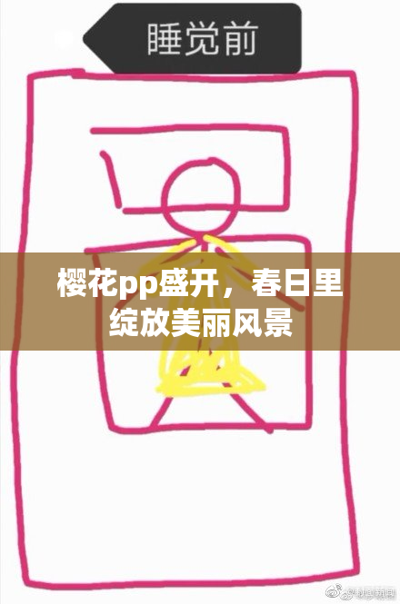 樱花pp盛开，春日里绽放美丽风景