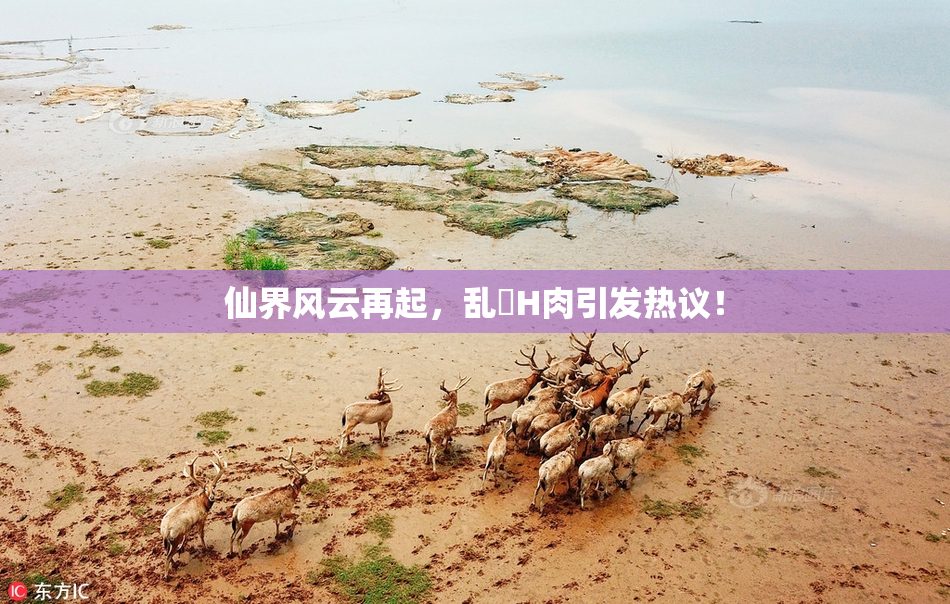 仙界风云再起，乱婬H肉引发热议！