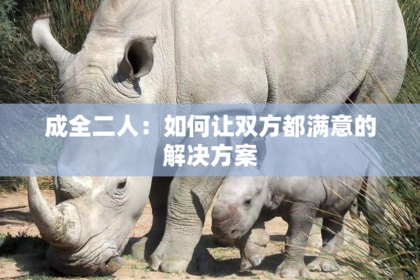 成全二人：如何让双方都满意的解决方案