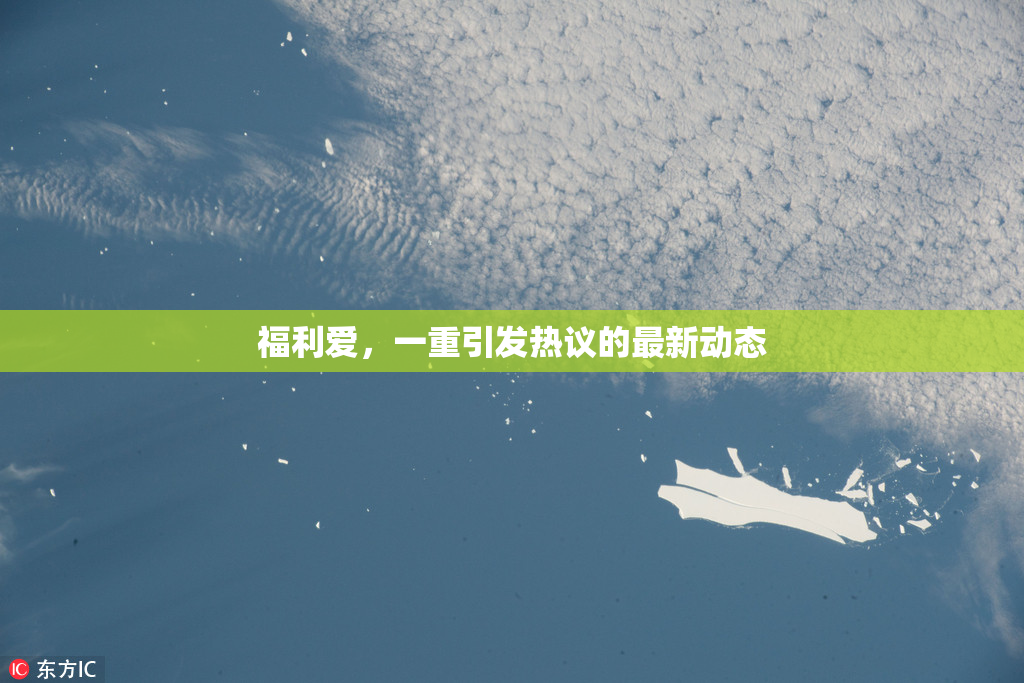 福利爱，一重引发热议的最新动态