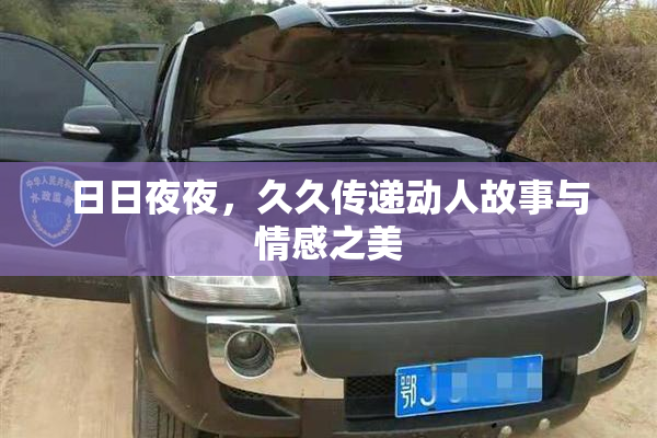 日日夜夜，久久传递动人故事与情感之美
