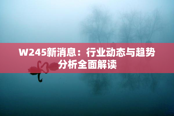 W245新消息：行业动态与趋势分析全面解读