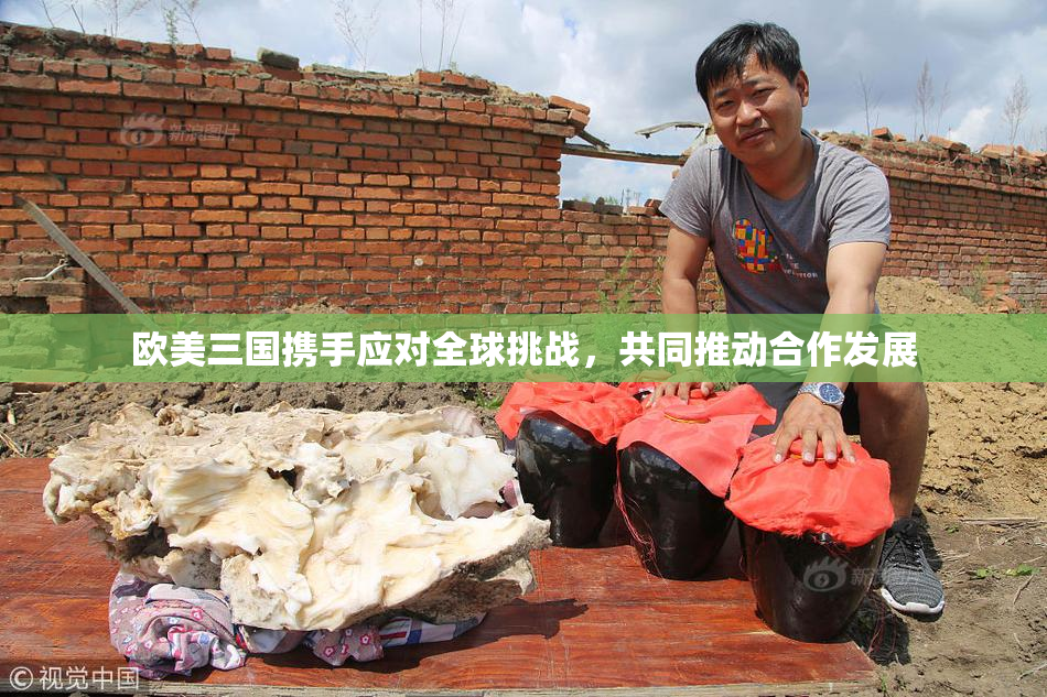 欧美三国携手应对全球挑战，共同推动合作发展