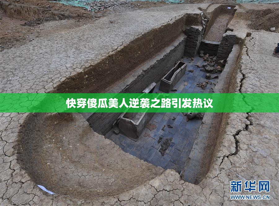 快穿傻瓜美人逆袭之路引发热议