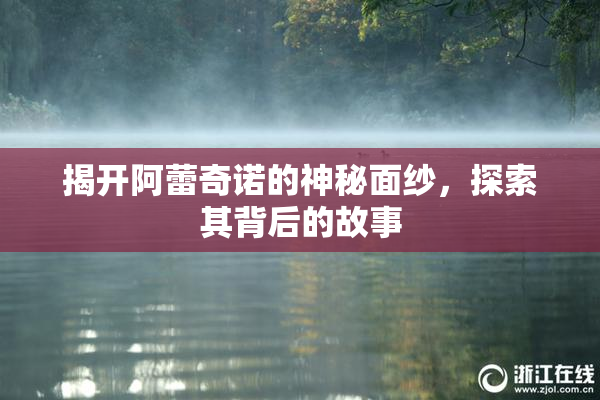 揭开阿蕾奇诺的神秘面纱，探索其背后的故事