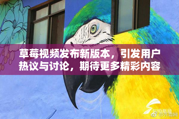 草莓视频发布新版本，引发用户热议与讨论，期待更多精彩内容！