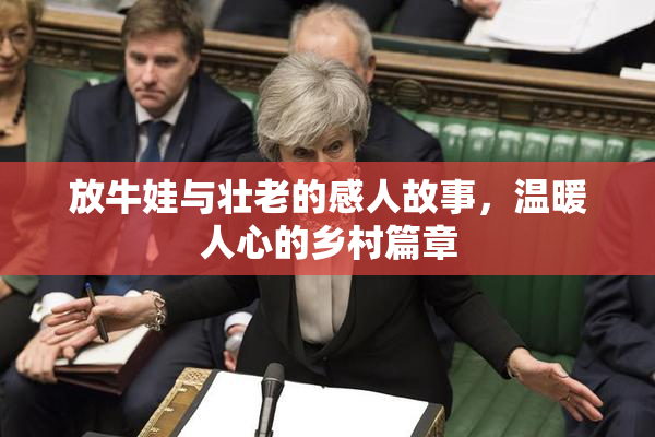 放牛娃与壮老的感人故事，温暖人心的乡村篇章