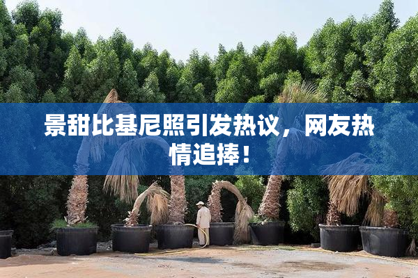景甜比基尼照引发热议，网友热情追捧！