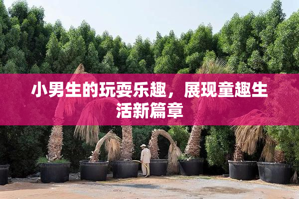小男生的玩耍乐趣，展现童趣生活新篇章